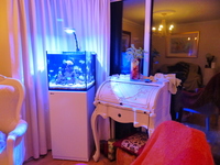 Red Sea Reefer Aquarium, Cabinet & Equipment