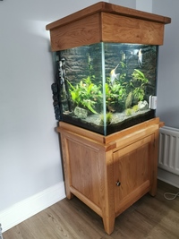 Complete Maidenhead Aquatics 155 Litre Solid Oak Cube Freshwater Tropical Aquarium Setup