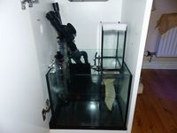 Red Sea Max Nano Marine Reefer Aquarium, Massive setup