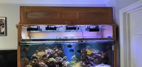 marine tank 6×2×2