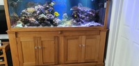 marine tank 6×2×2