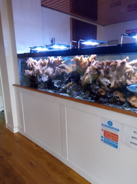 Large marine tank