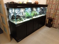 Complete 750l tank, cabinet, hood, lights, filters