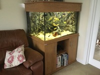 Large Aquarium, stand and hood, REDUCED PRICE