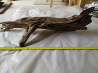 Bogwood - Sold