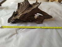 Bogwood - Sold