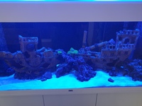 Marine tank full set up