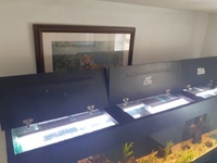 8x2x2 Fishtank stand hood lots of extras £1100