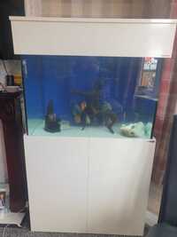 Fish tank