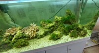 White Marine Tank 5ft