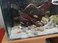 3ft Clearseal full tank setup for sale - SOLD pending collection