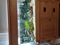 Tank for sale Aqua Oak Aquarium