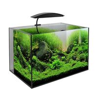 60cm 100L all in one aquarium + stand + accessories SE London