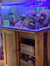 Marine Aquarium 300ltr w/ Cabinet & Equipment Set Up £350