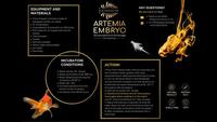 Leading Supplier of Artemia Direct Embryo Products in the UK