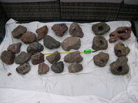 18 decent size Lava Rock pieces