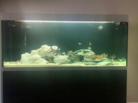 Oase Highline 400 Aquarium (Anthracite) with Brushed Silver Trim