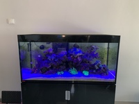 Complete Marine Aquarium EHEIM INCPIRIA