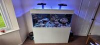 Full Marine Tank Setup