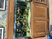 Fish tank