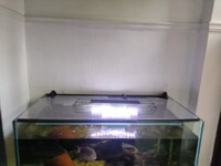 Large 4x2x2 Aquarium