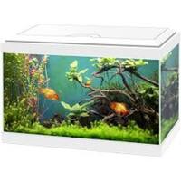 Ciano Aqua 20 Classic Aquarium