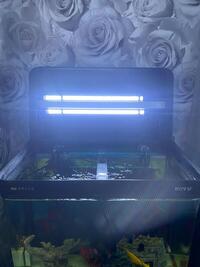 Boyu fish tank full set up £200