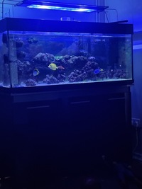 Full marine set up