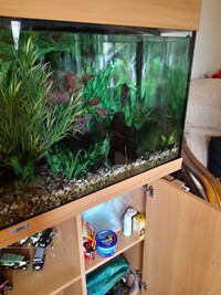 fish tank