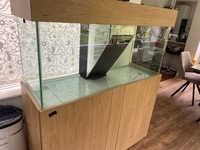 Custom Marine tank - £200