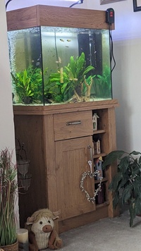 Fish tank and stand