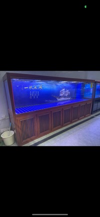 PLANET AROWANA PREMIUM AQUARIUMS - TROPICAL & MARINE TANKS