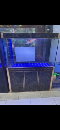 PLANET AROWANA PREMIUM AQUARIUMS - TROPICAL & MARINE TANKS