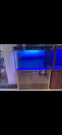 PLANET AROWANA PREMIUM AQUARIUMS - TROPICAL & MARINE TANKS