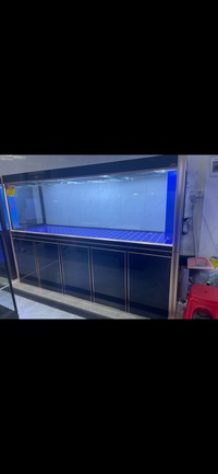 PLANET AROWANA PREMIUM AQUARIUMS - TROPICAL & MARINE TANKS