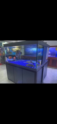 PLANET AROWANA PREMIUM AQUARIUMS - TROPICAL & MARINE TANKS