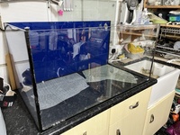 Evolution Aqua tank for sale.