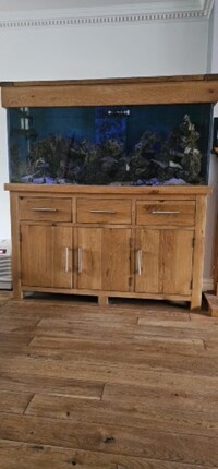 Maidenhead aquatics 5ft x 2ft x 2ft marine tank with sump & solid oak cabinet