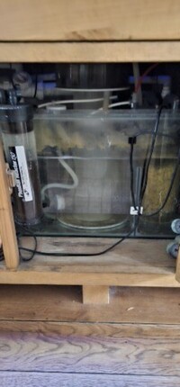 Maidenhead aquatics 5ft x 2ft x 2ft marine tank with sump & solid oak cabinet