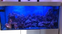 Custom marine tank 165 x 60 x 75cm - w x d x h and steel frame