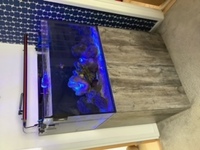 Aqua One Reefsys 255 with full marine equipment £1275 ono