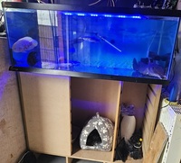 Fishtank and stand 4 foot