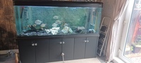 Fish tank