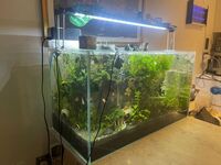 Full Fishtank Setup