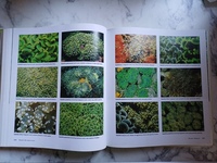 Aquarium Corals book