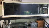 9x3x2.5 Fish Tank