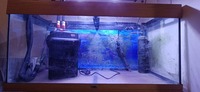 Rio 180, ilumenair 900, fluval 306 £40