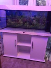 Juwel Rio 240 aquarium