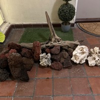 Bogwood XXXL  50cm+  and Rock Aquascape £80