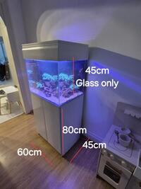 Complete small marine tank ,equipment and fish